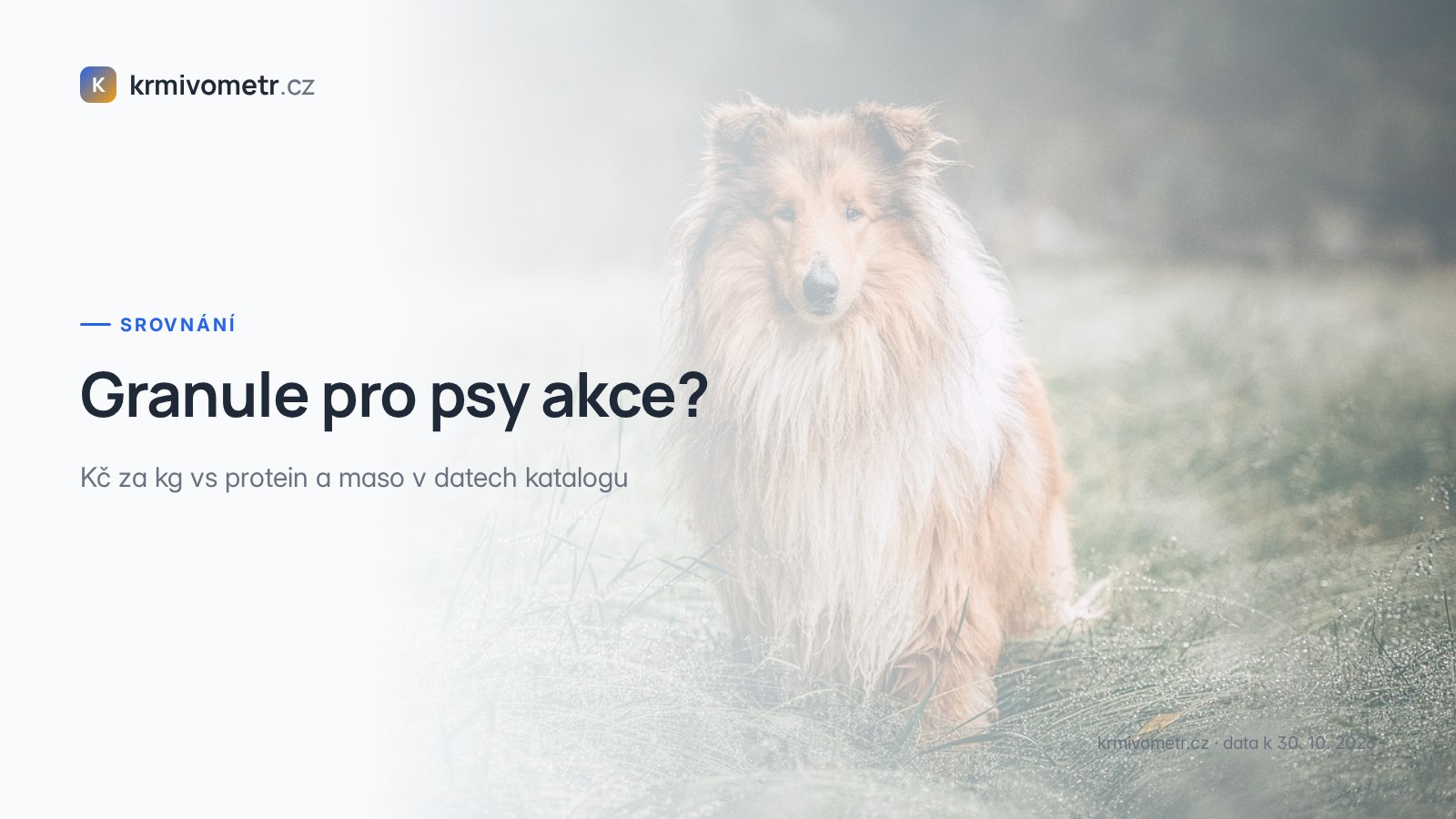 Granule pro psy akce: Kč za kg vs protein a maso v datech