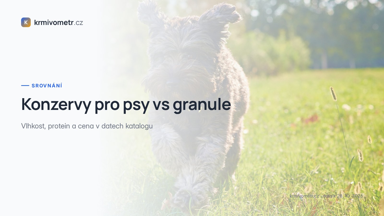 Konzervy pro psy vs granule: vlhkost, protein a cena v datech