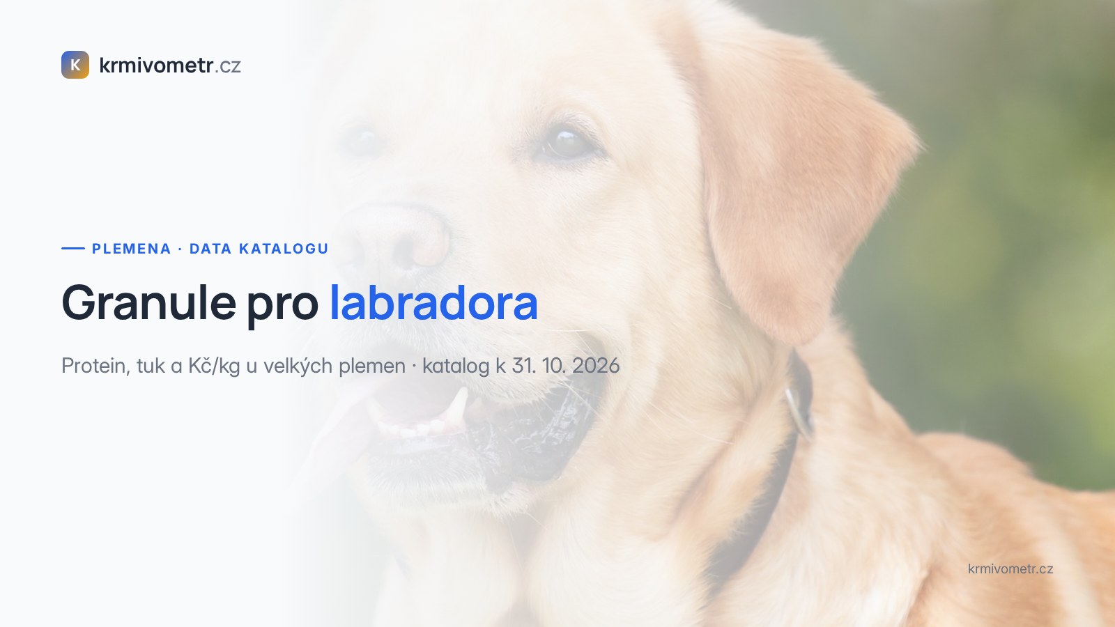 Granule pro labradora: protein, tuk a cena v datech velkých plemen