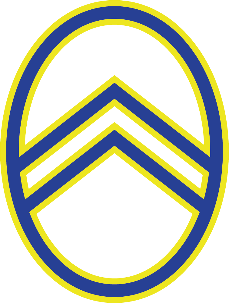 Citröen Acadiane (1978–1987)