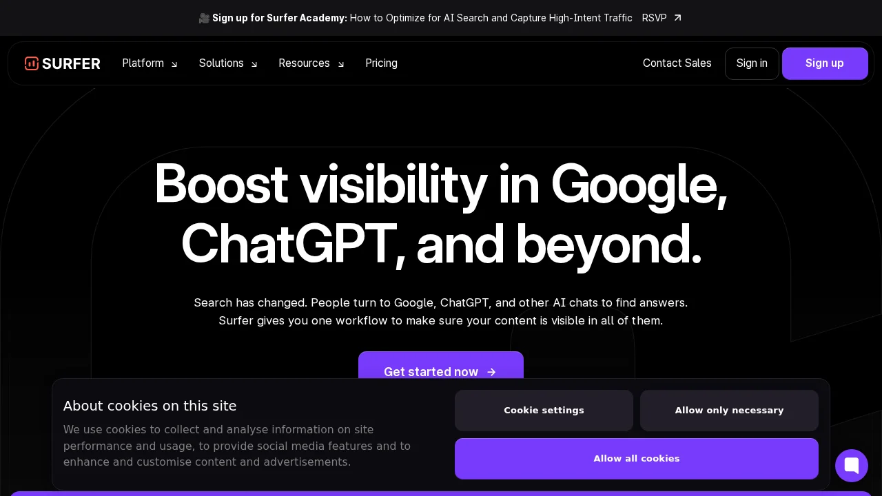 Screenshot Surfer SEO