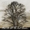 And So Fell The Last Leaves...
