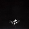 Legacy Of Hopelessness  [EP]