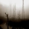 Laukahaud (Mire-grave)  [Demo]