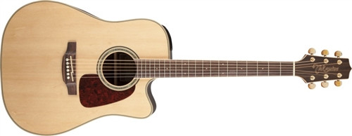 Takamine GD71CE Natural