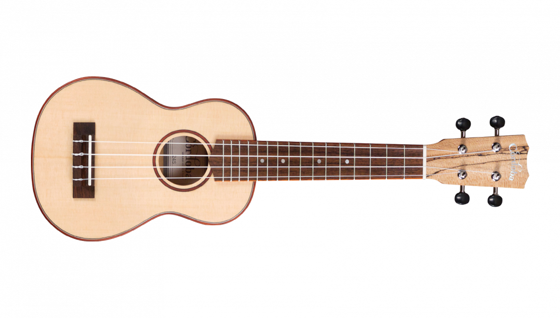 Cordoba 24S Spruce - Natural