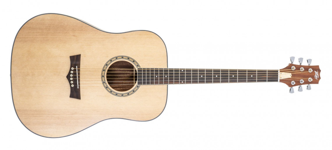 Peavey Delta Woods DW-2 with Case - Natural