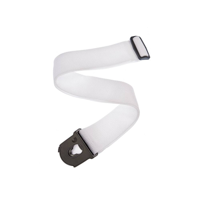 Planet Waves PWSPL208