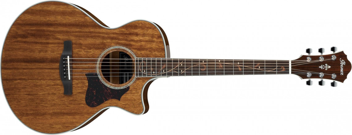 Ibanez AE245 Natural