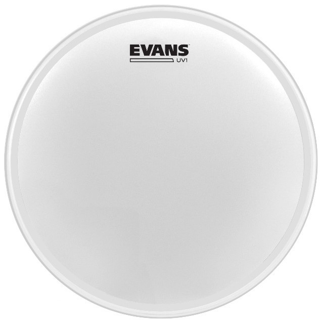 Evans B14UV1 UV1 Coated 14”